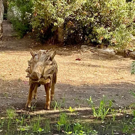 Bergerie Serenu Villa *